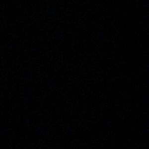 Meet your Posher, Todd